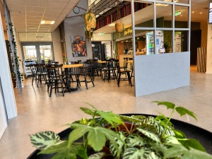 Café Frigg_3